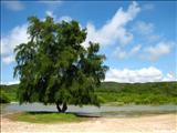 Playa Tamarindo Guánica - GUÁNICA